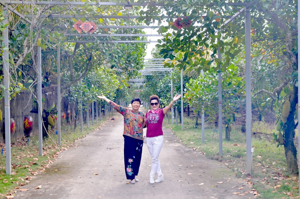 海南 万宁东澳水果园(二)