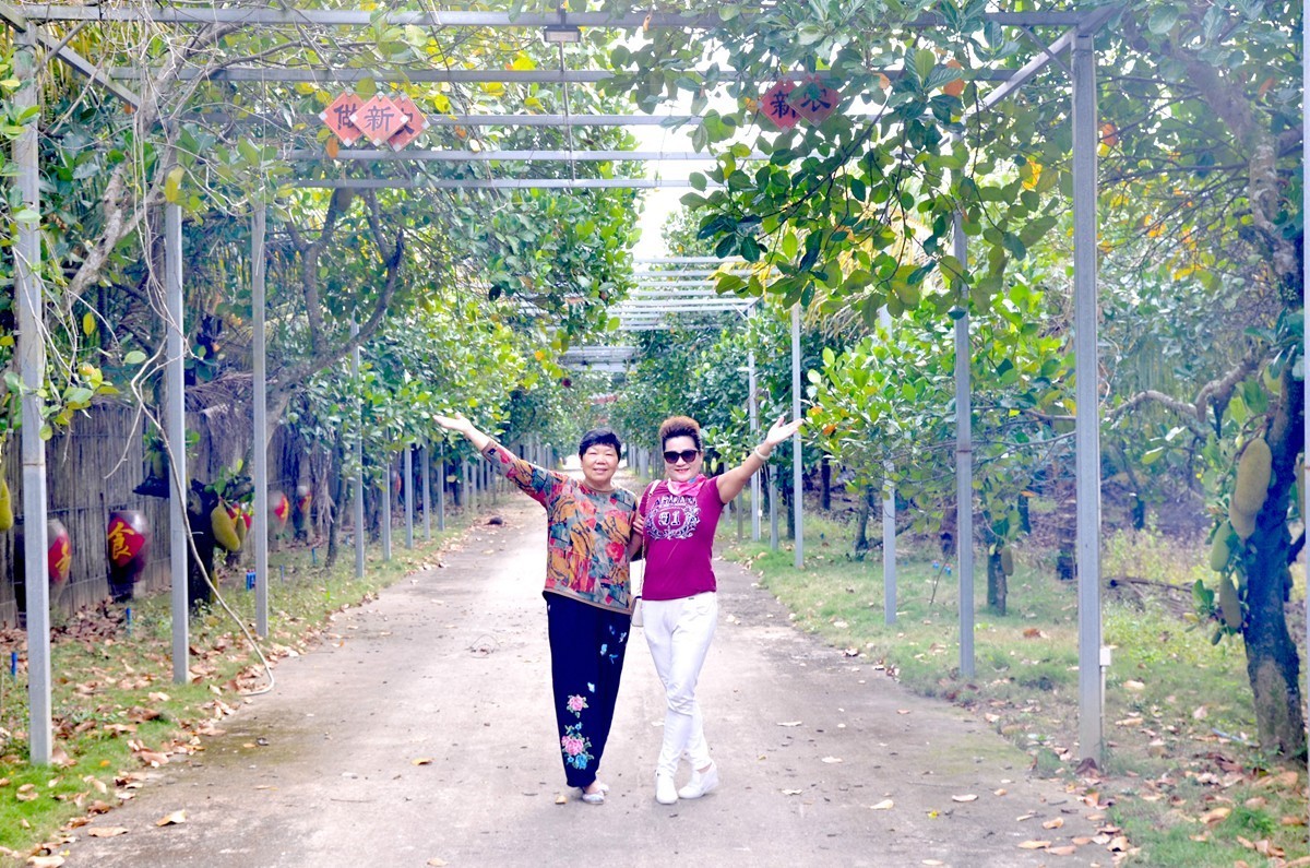 海南 万宁东澳水果园(二)