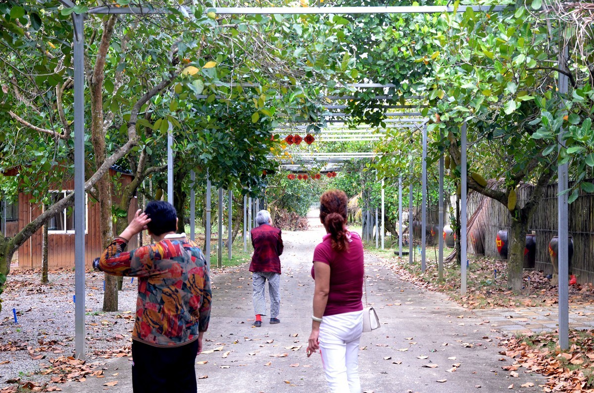 海南 万宁东澳水果园(二)
