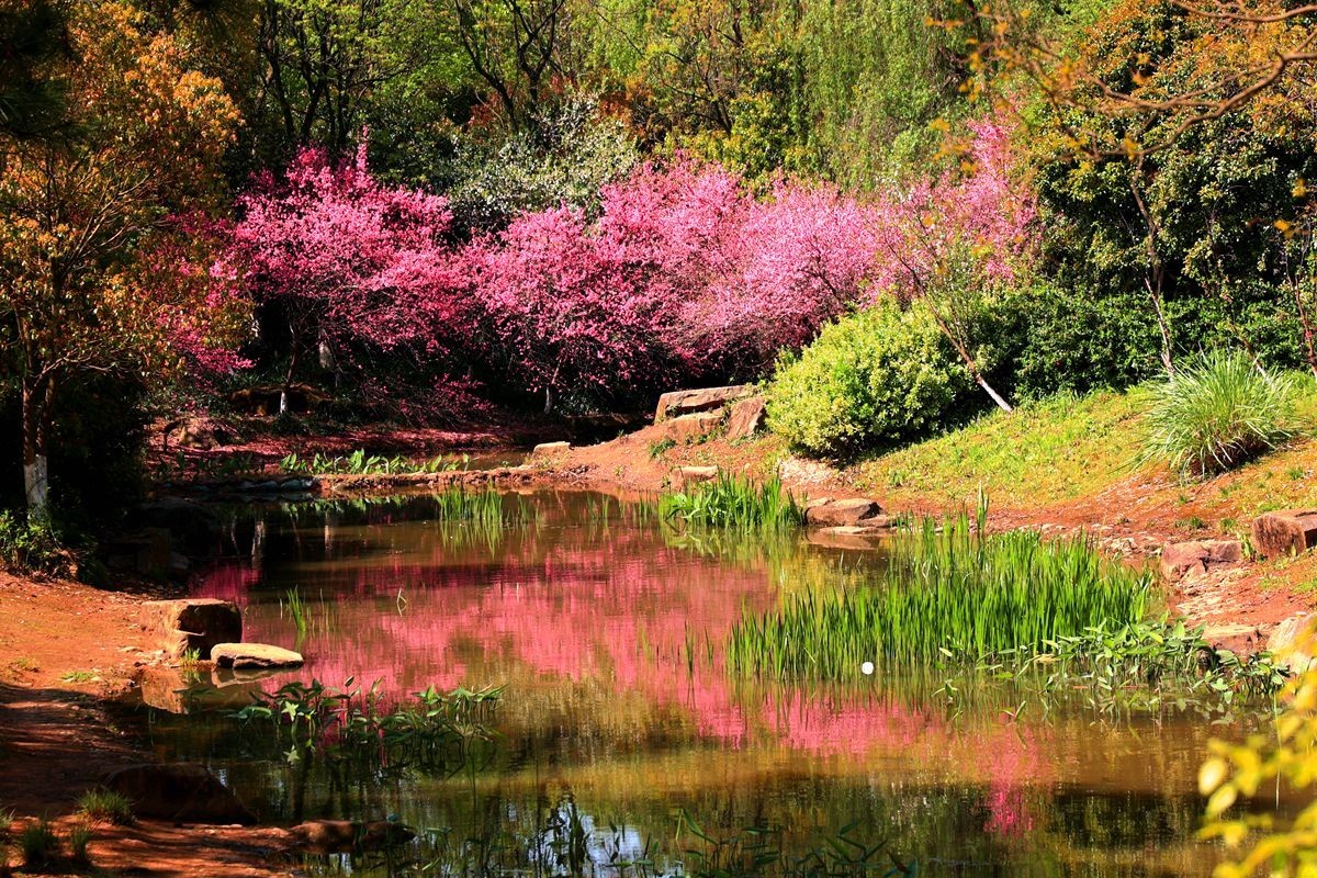 杭州栱墅区千桃园村游随拍（一）