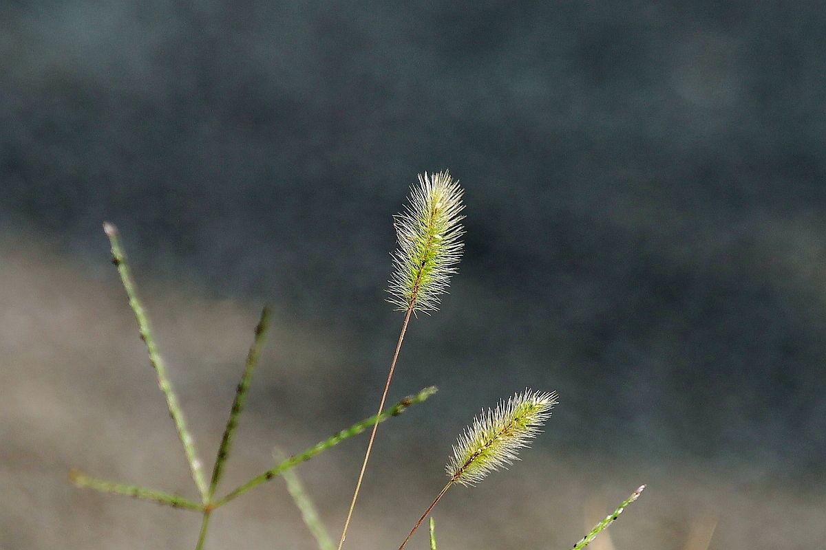 用了转接口的试机帖（一）