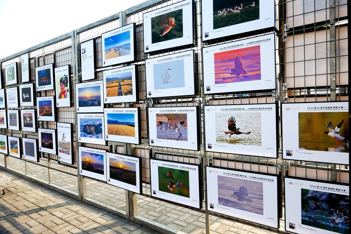 2024平遥国际摄影大展现场纪实！