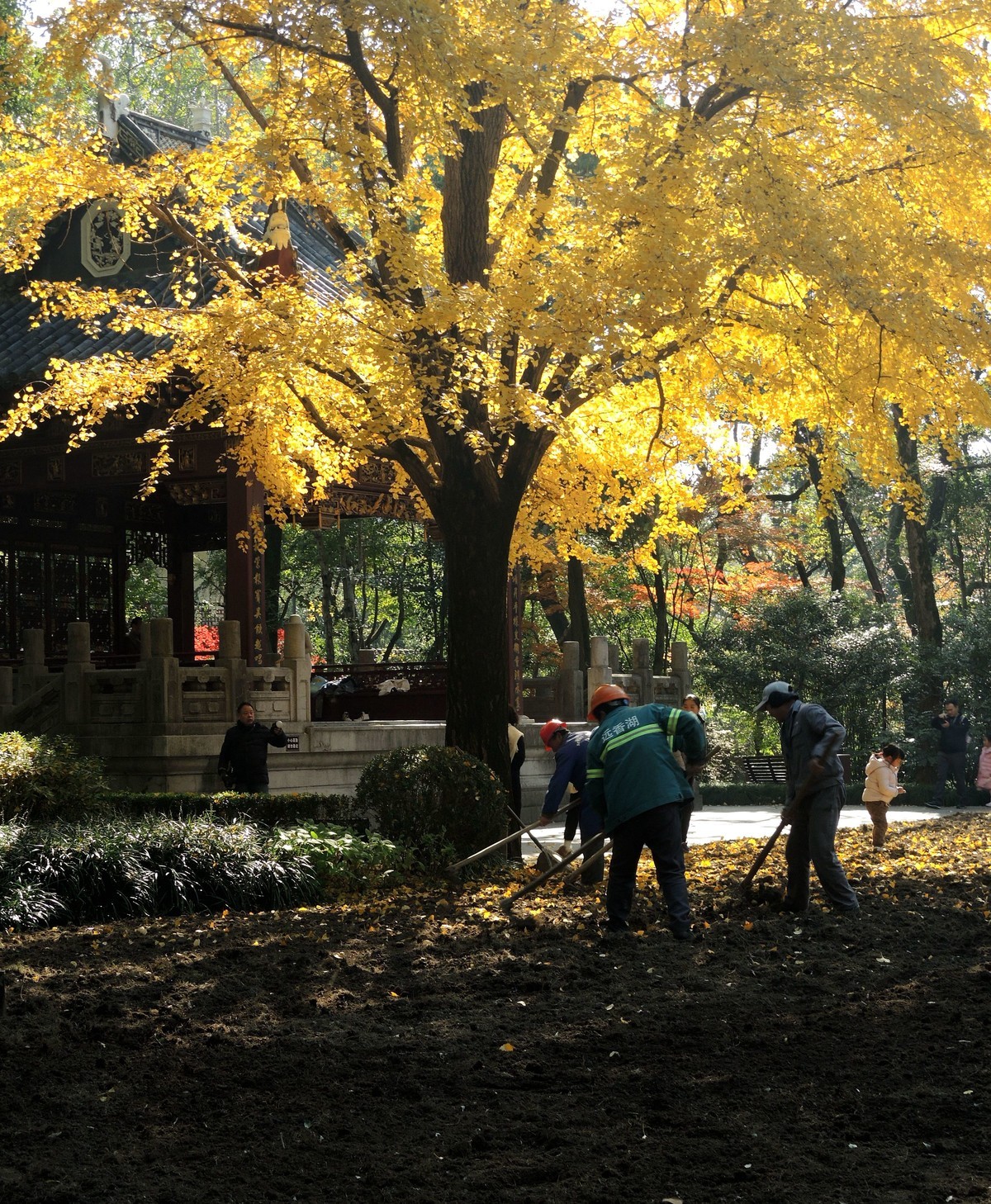 又是秋天的色彩