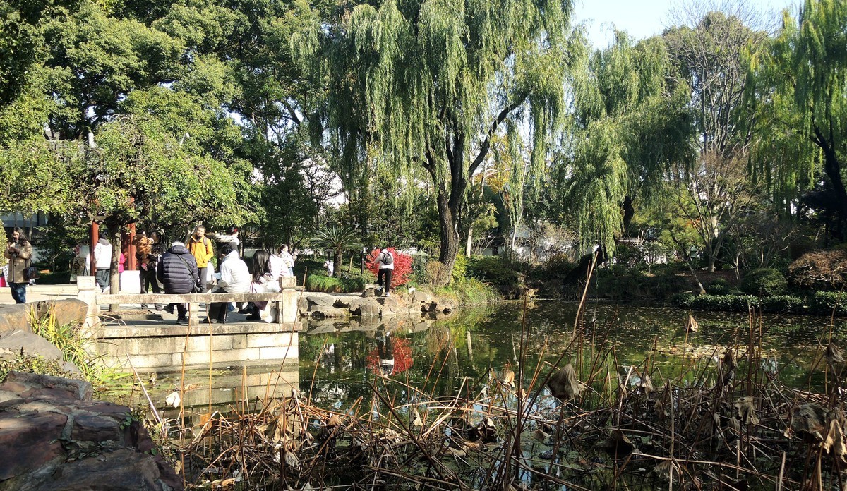 又是秋天的色彩