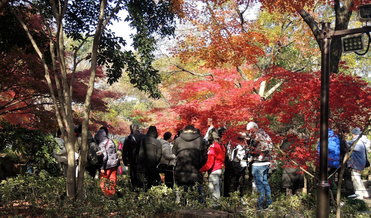 又是秋天的色彩