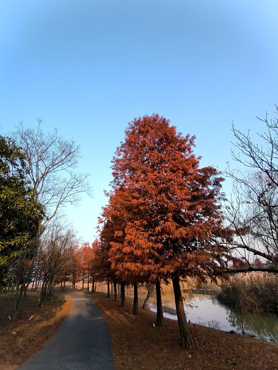 漫步星城 走街串巷（611）仰天湖公园