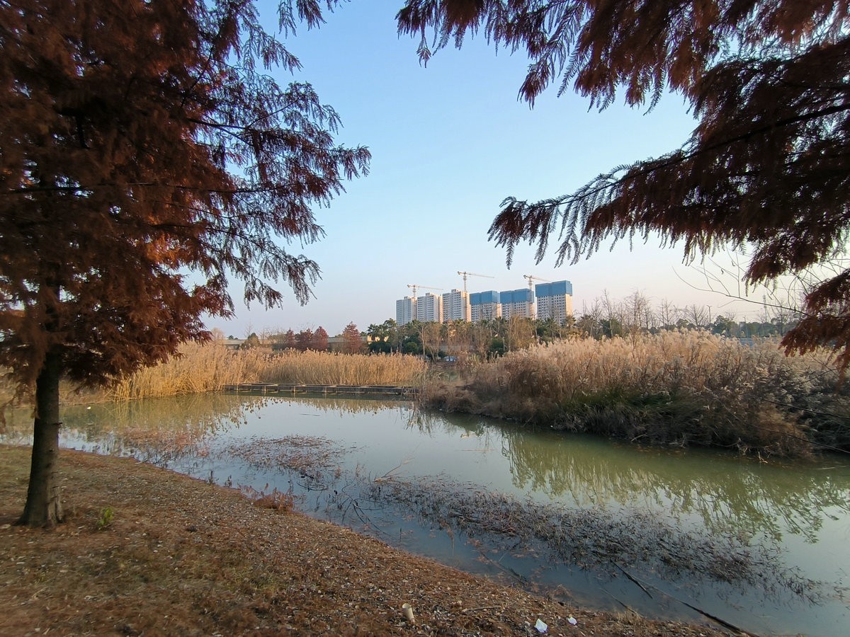 漫步星城 走街串巷（611）仰天湖公园