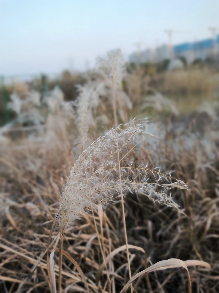 漫步星城 走街串巷（611）仰天湖公园