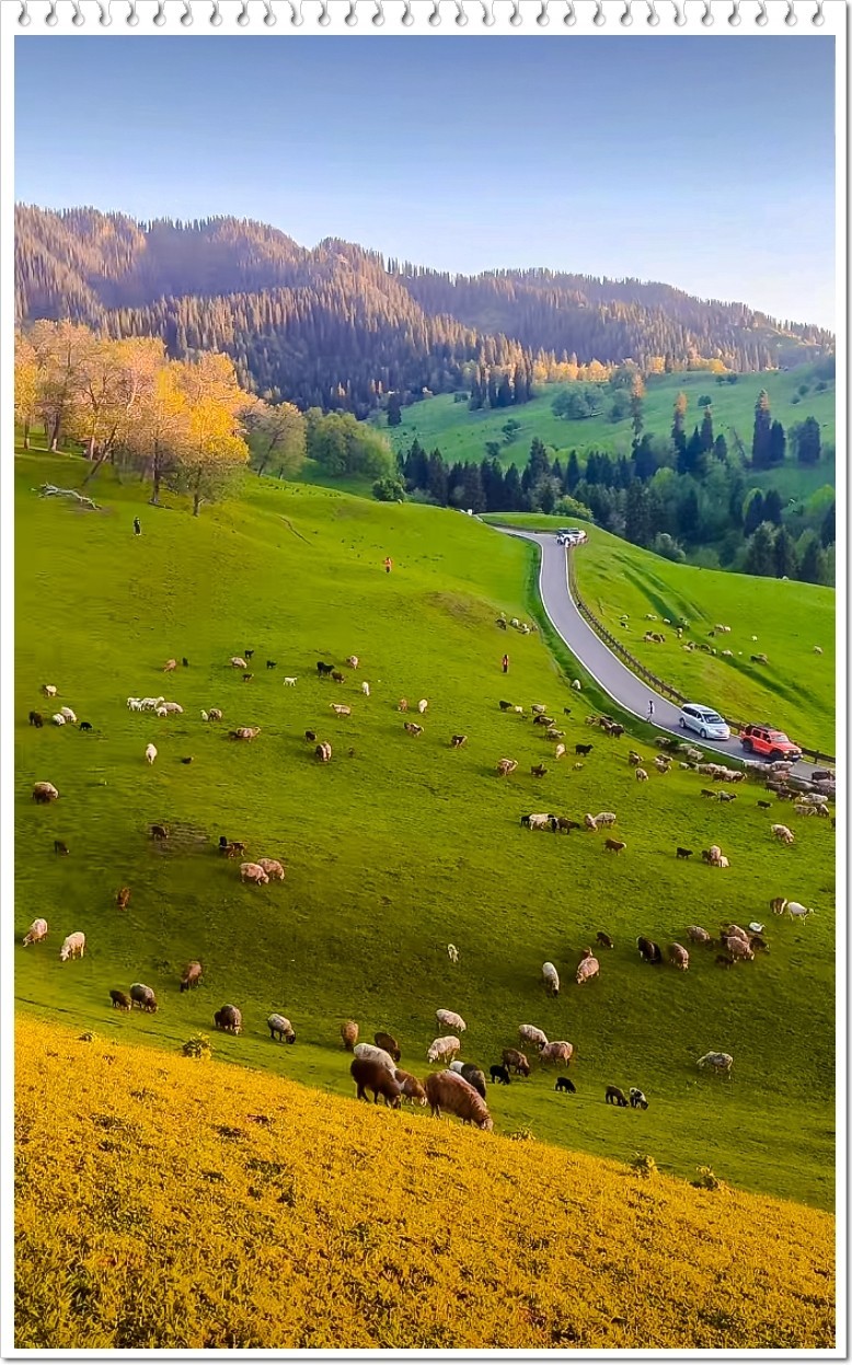 2025年- 新疆风光纪实抓拍-0437