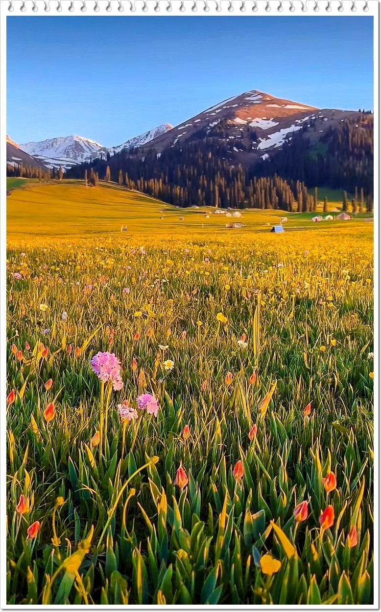 2025年- 新疆风光纪实抓拍-0437