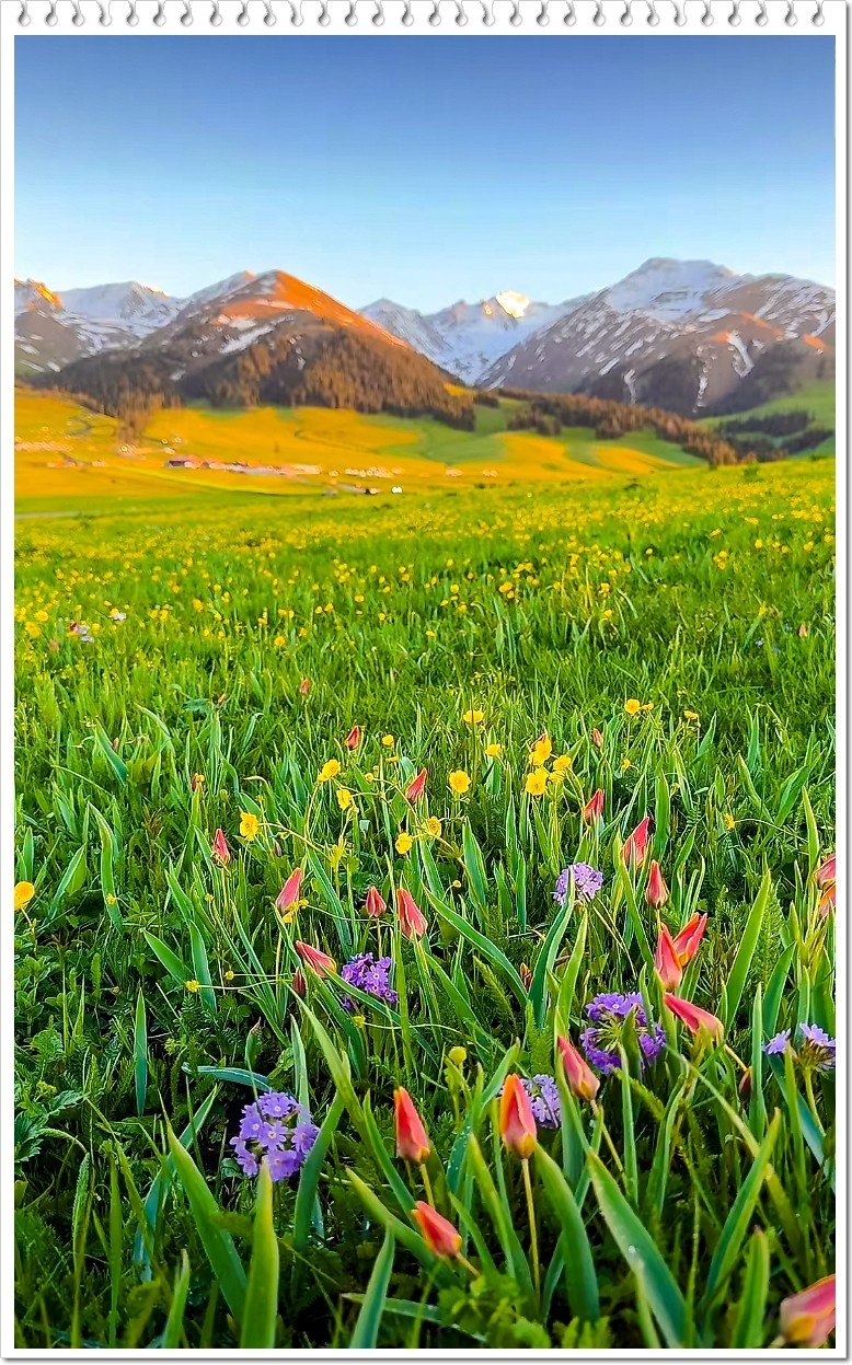 2025年- 新疆风光纪实抓拍-0437