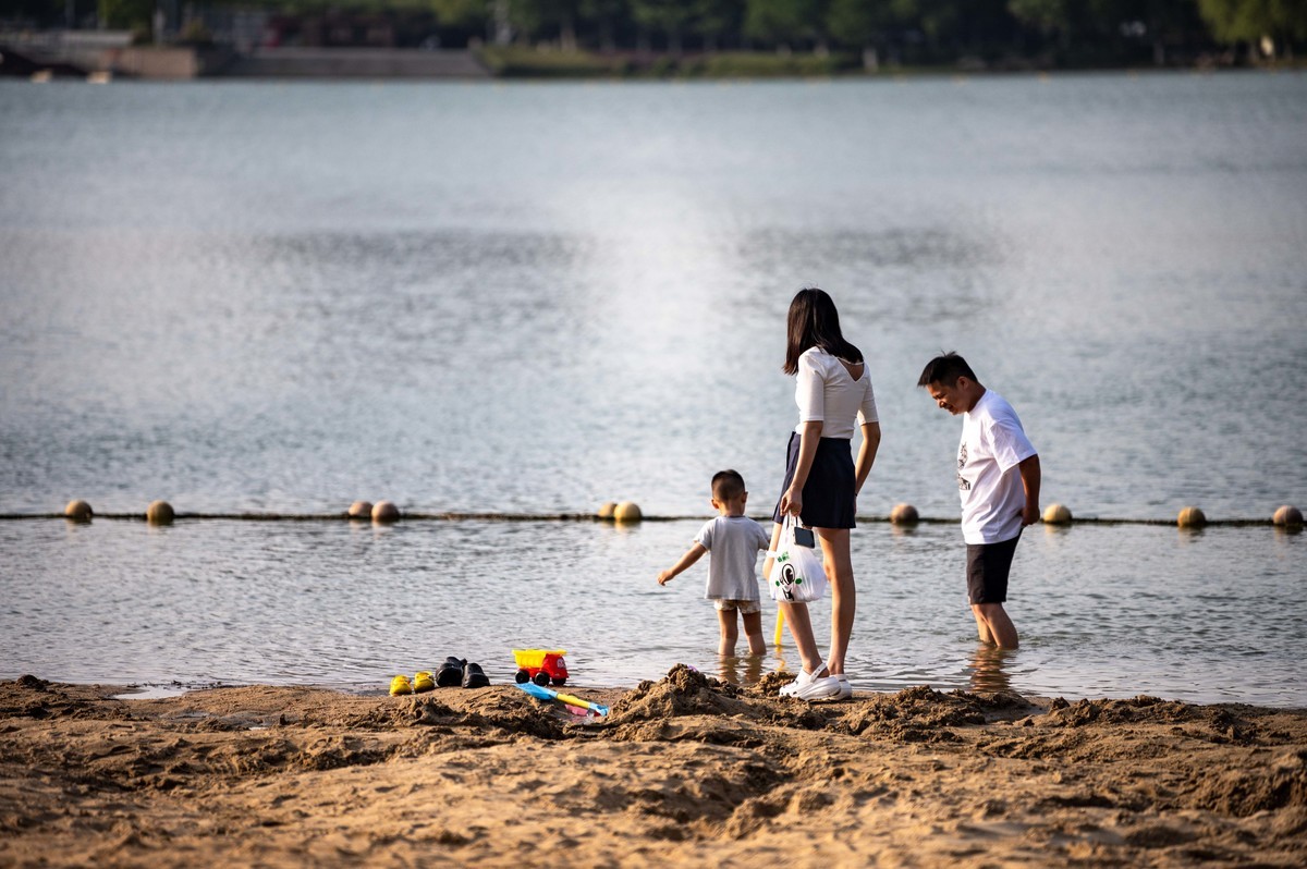 庐州印象（465）夏季天鹅湖