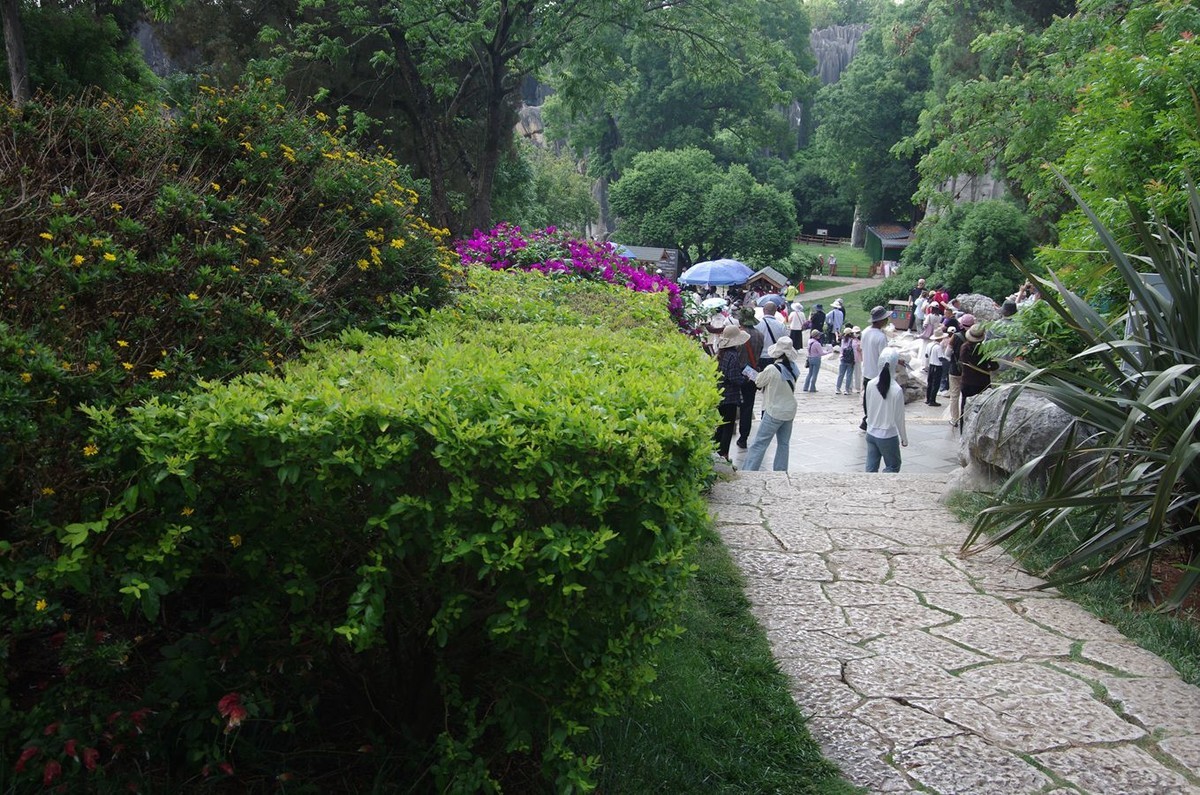石林游记--3