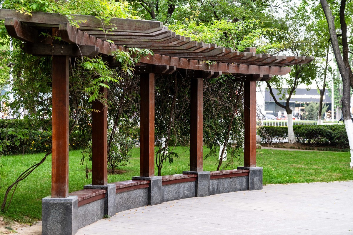 庐州印象（465）夏季天鹅湖