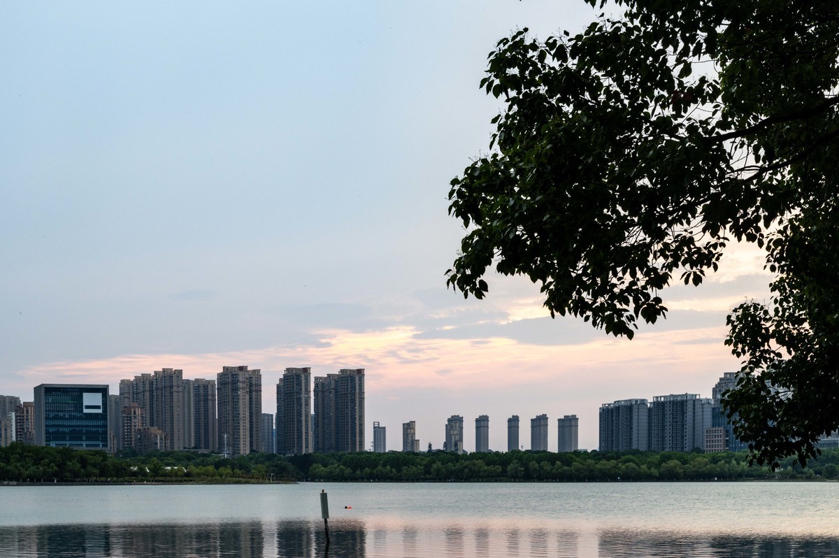 庐州印象（465）夏季天鹅湖