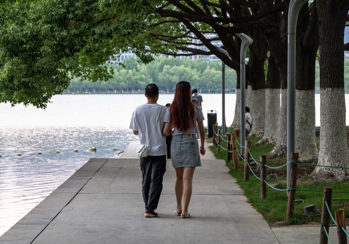 庐州印象（465）夏季天鹅湖