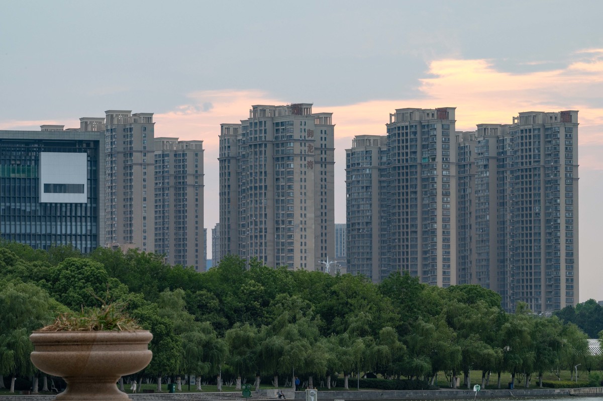 庐州印象（465）夏季天鹅湖