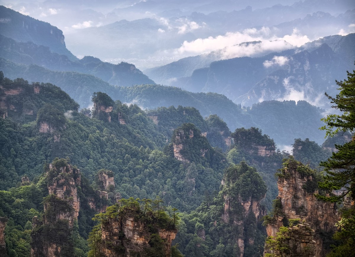 张家界      云雾武陵源（8）销假帖
