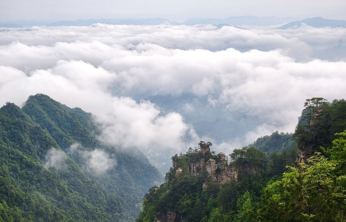 张家界      云雾武陵源（8）销假帖