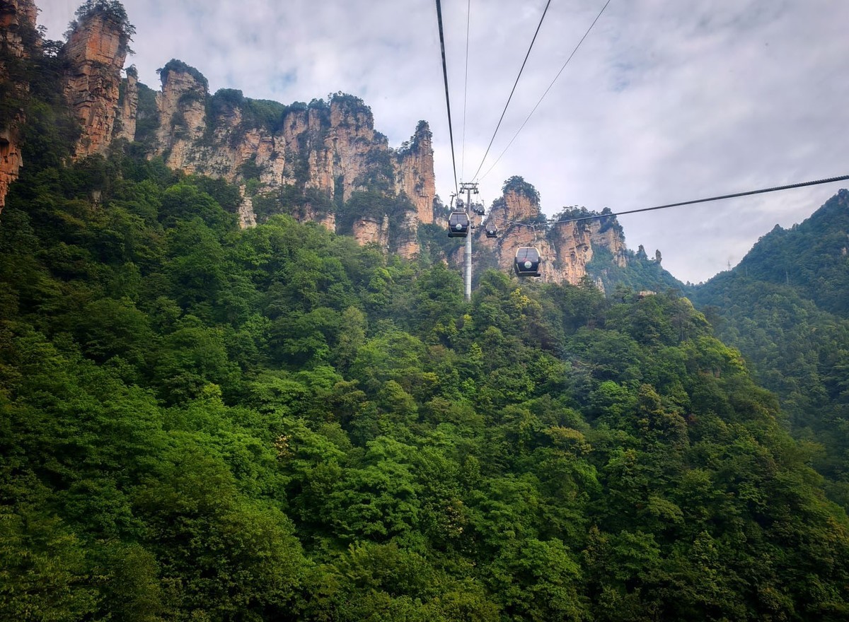 张家界      云雾武陵源（8）销假帖