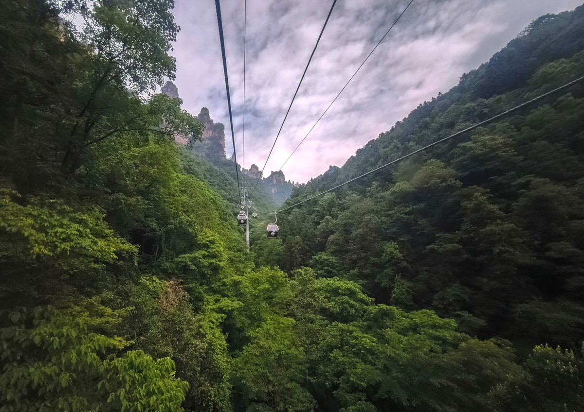 张家界      云雾武陵源（8）销假帖