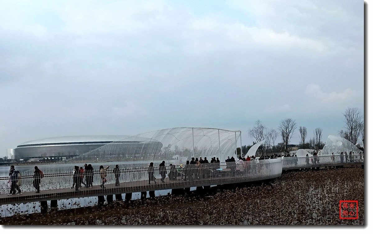 手机一组------东安湖