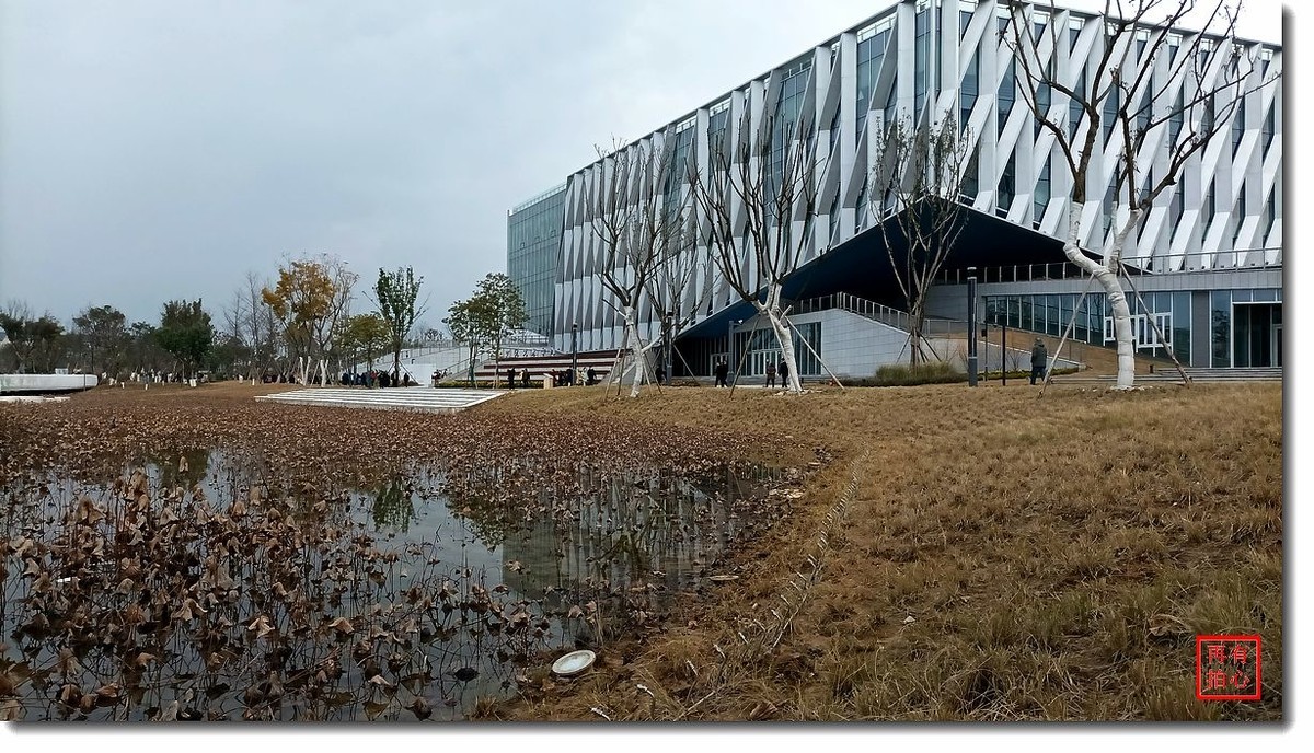 手机一组------东安湖