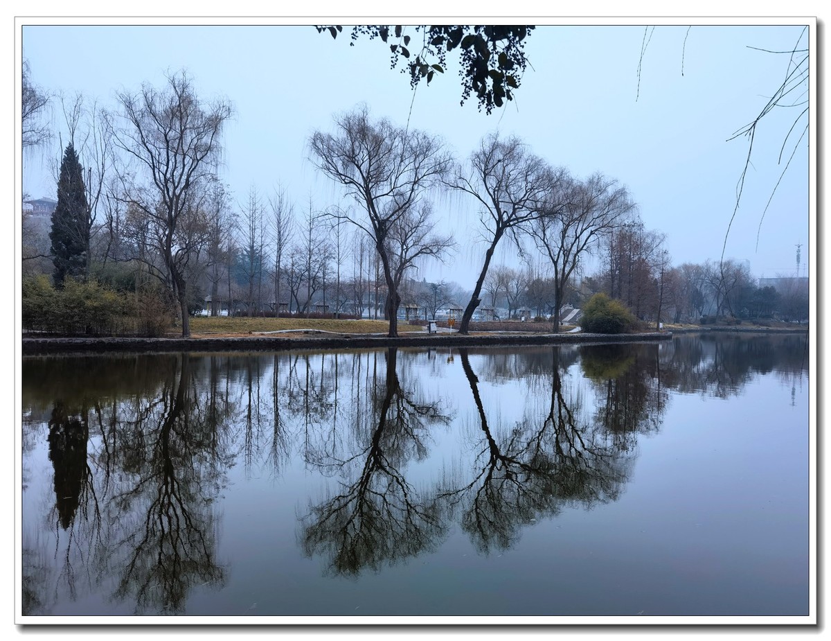 癸卯年正月随拍 2【2023-0133】