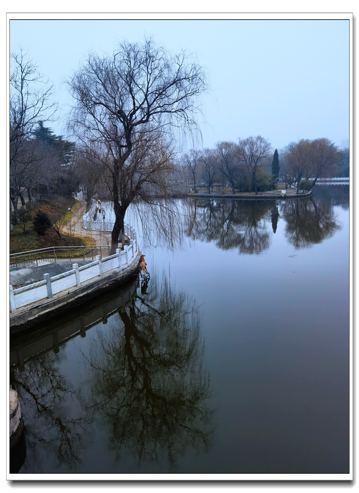 癸卯年正月随拍 2【2023-0133】