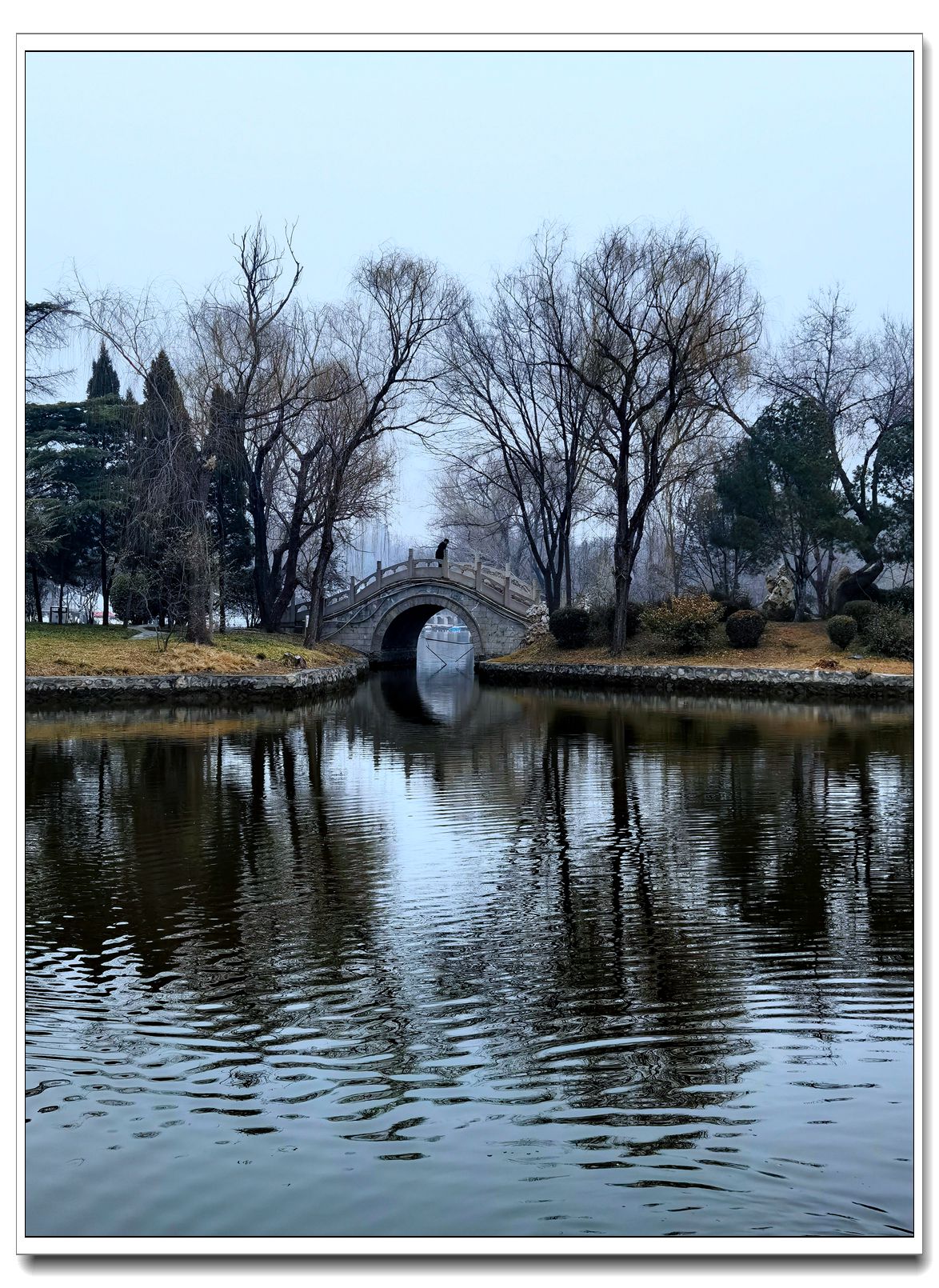 癸卯年正月随拍 2【2023-0133】