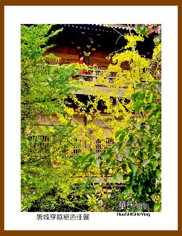 2020西西南北行游走湖北135—唐城穿越绝色佳丽（襄阳市）