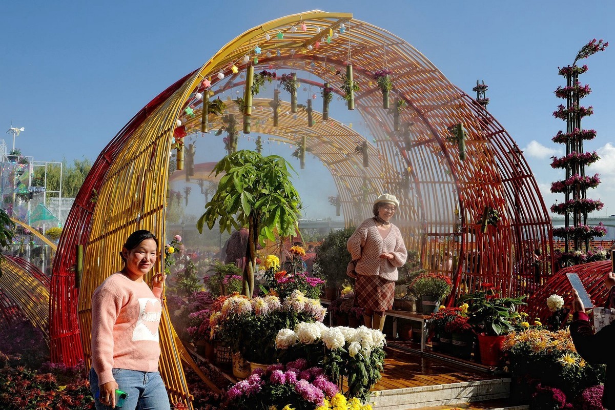 再见了，菊花。。。