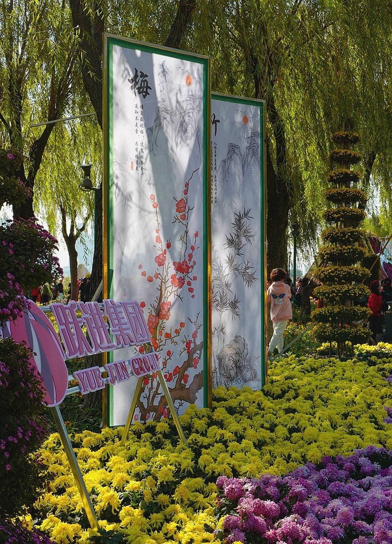 再见了，菊花。。。