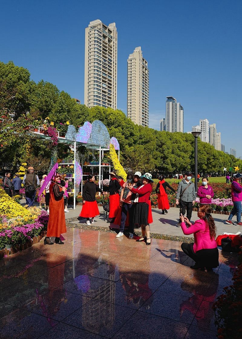 再见了，菊花。。。