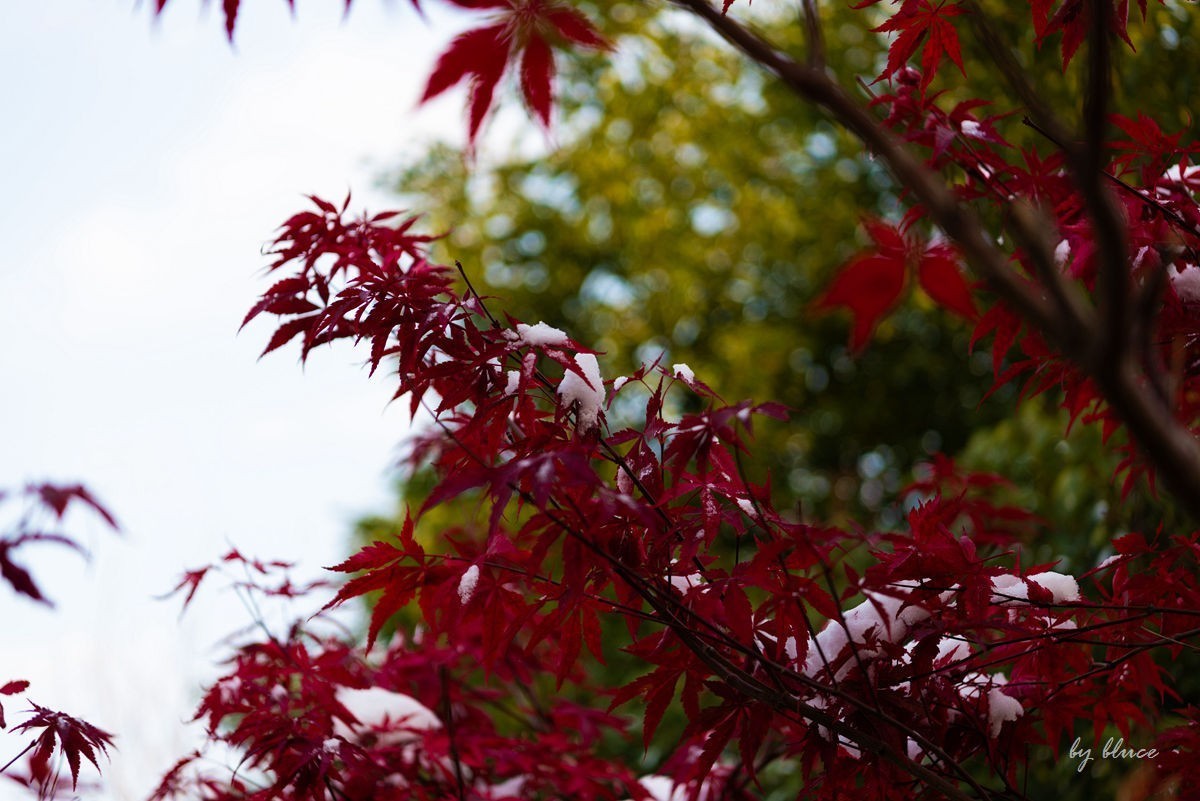 登阅江楼【下】