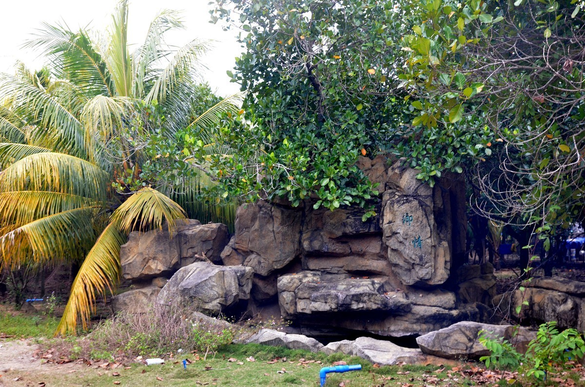 海南 万宁东澳水果园(二)