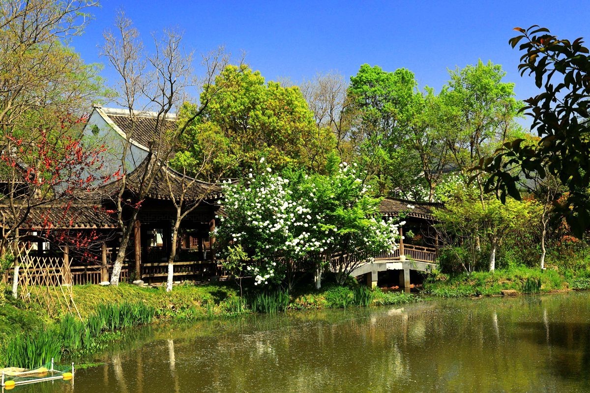 杭州栱墅区千桃园村游随拍（一）