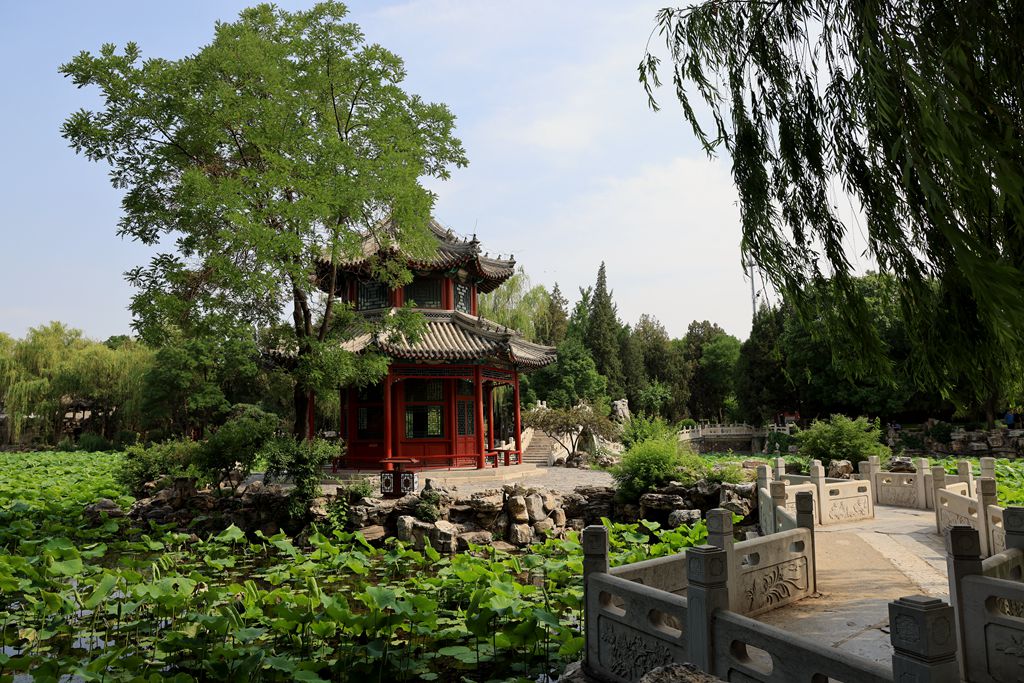 保定直隶古莲花池