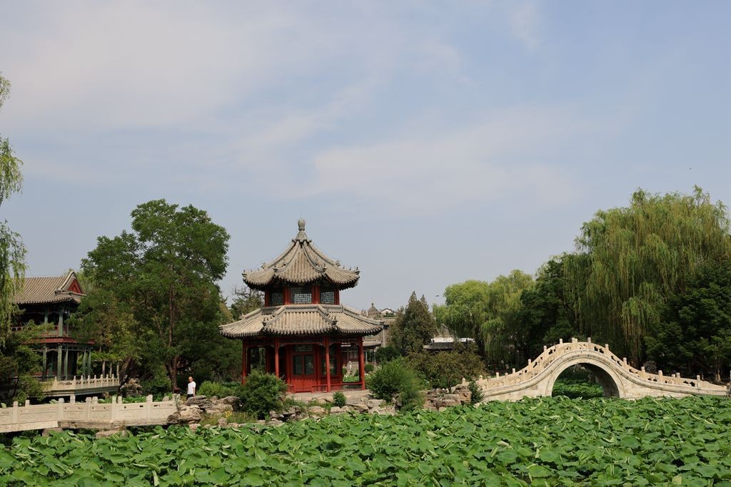 保定直隶古莲花池