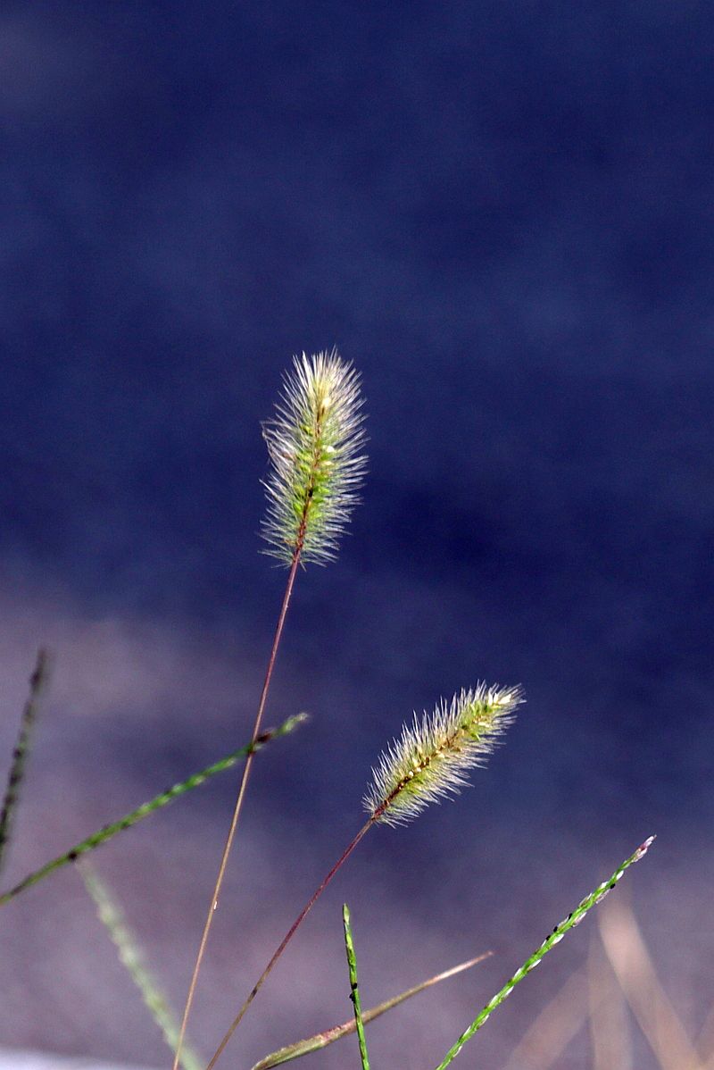 用了转接口的试机帖（一）