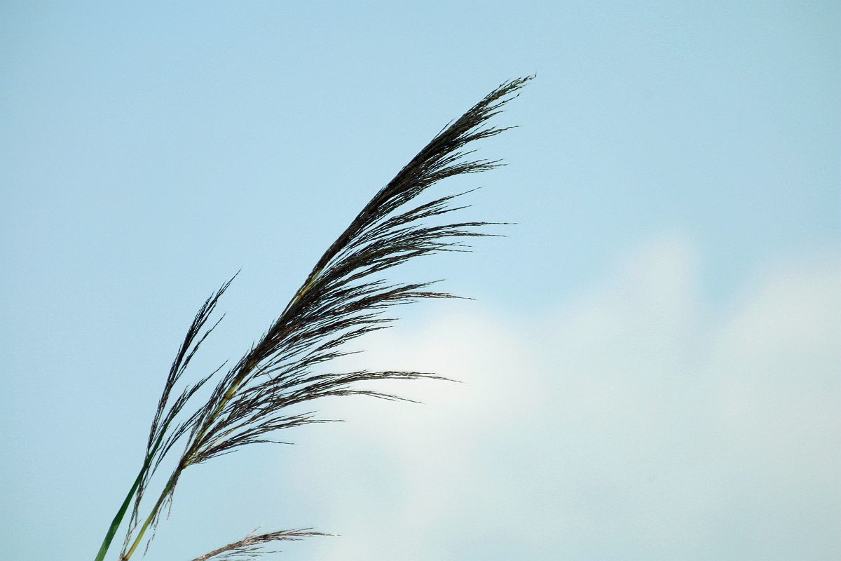 用了转接口的试机帖（一）