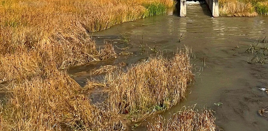 《不老松：纪实摄影》【山河锦绣】青海彩虹部落土族园！
