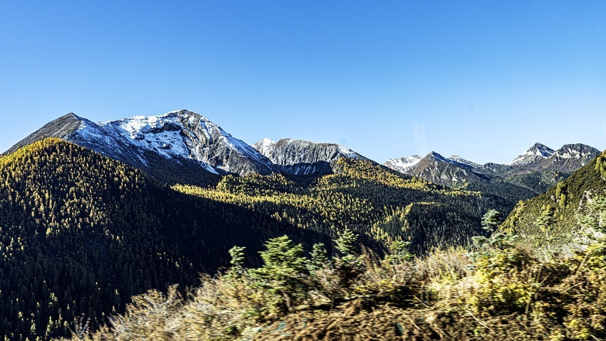 稻城亚丁--秋日行【4】