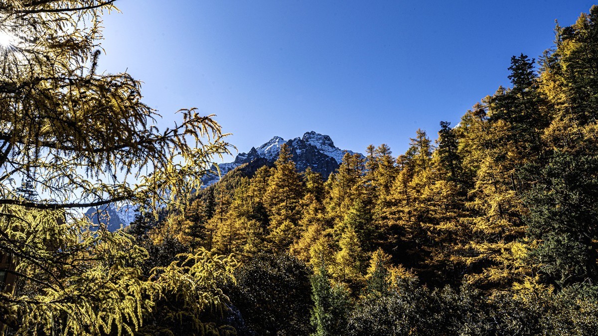 稻城亚丁--秋日行【4】