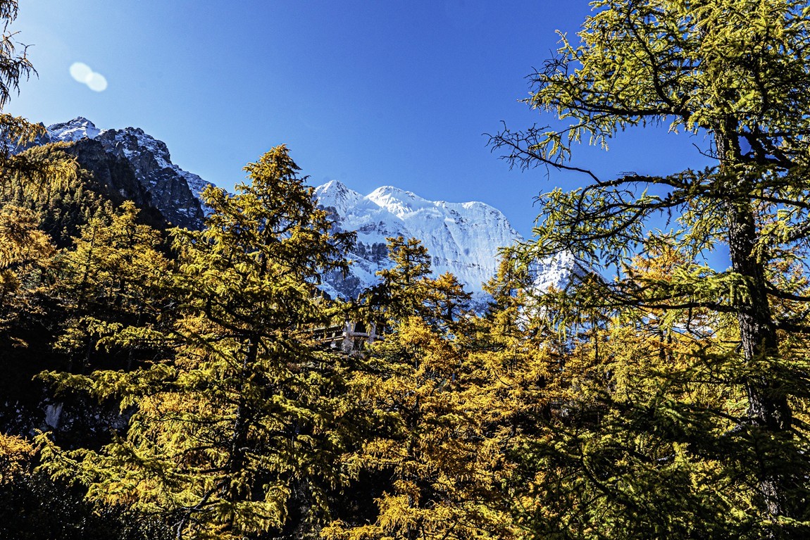 稻城亚丁--秋日行【4】