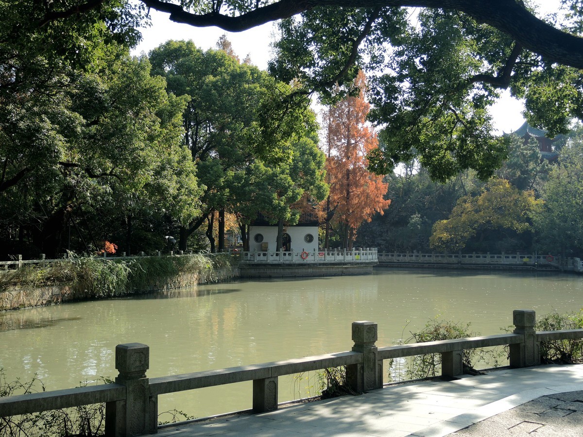 又是秋天的色彩