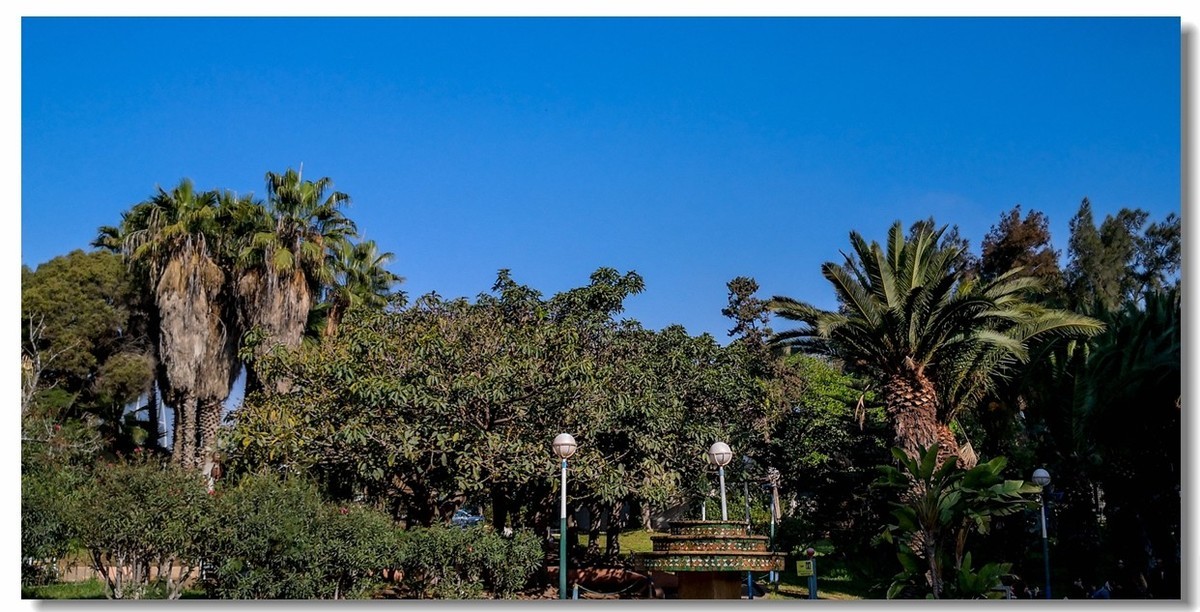 海湾度假村随拍