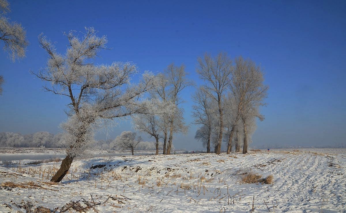 吉林——雾凇岛游拍（19）