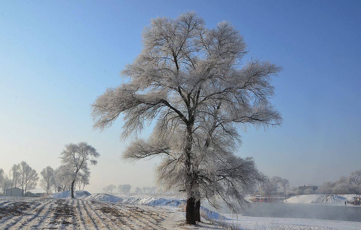 吉林——雾凇岛游拍（19）
