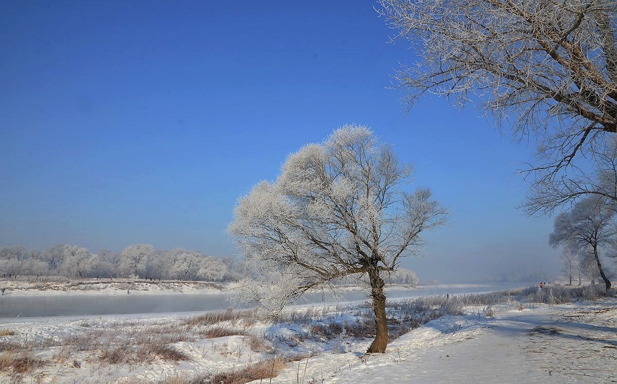 吉林——雾凇岛游拍（19）